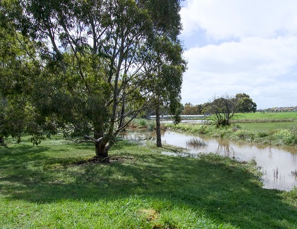 creek photo